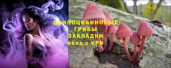 крисы Медногорск