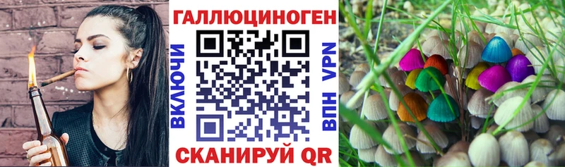 Псилоцибиновые грибы Cubensis Новосибирск
